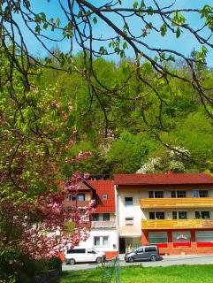 Ferienwohnungen Renate Brandes - 5