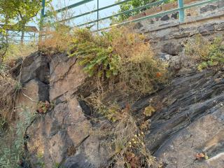 The Waterfall Villa - 4