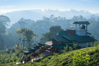 Udadola Ecolodge - 5