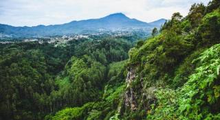 Wirton Dago Hotel - 5