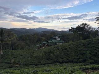 Udadola Ecolodge - 3