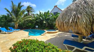 Best Quality 1 Bedroom Apartment 3 km from Eagle beach - Noord - 8