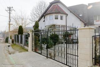 Vila Daiana- Acceptam vouchere vacanta - 8