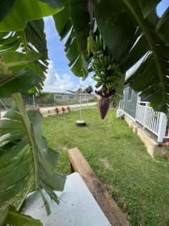 Finau Guest House - 3