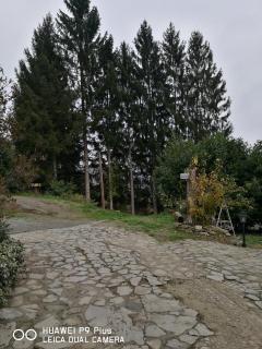 Agriturismo Davide - 7