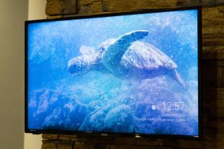 Favorit Hostel Yerevan - 1