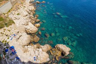 Sea Life - Taormina - Taormina - 5