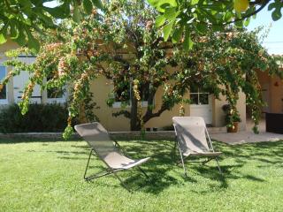 Grand appartement au calme proche d'Avignon - 4