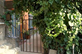 Quiet Garden Apartment with Terrace near Center - 8