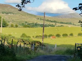 Y Bwthyn at the old water mill on the edge of Snowdonia - 7
