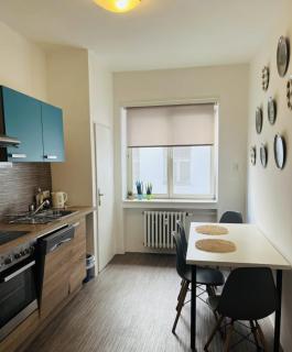 Big and comfortable apartment in the center - 3