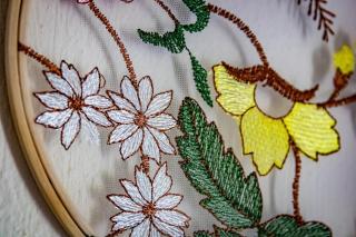 Unique Filoxenia! - 1