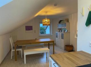 Grüne Oase stadtnah mit Balkon - 4