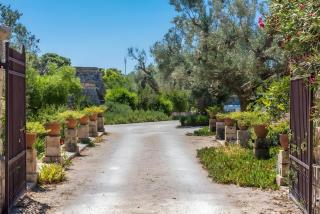 Tia Maria Country Inn - 4