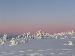 Apartment LeviStar 1112 - 7