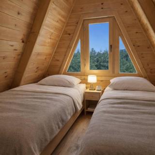 Golden pine chalet Žabljak - 6