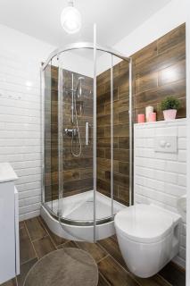 TWOJA CHATA podhalami Apartament na Wierchu - 9