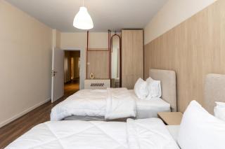 Central three bedroom Apt near Zamalek - 2