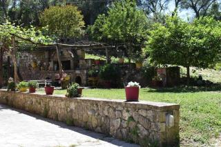 Nature retreat apartment - 3