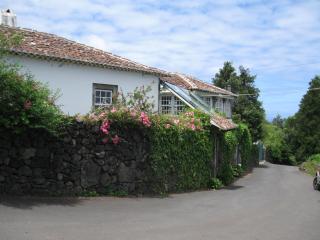 Quinta do Rossio, Rural Tourism - Biscoitos - 9