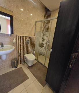 Luxury Fully Furnished Apartment for Rent - 4