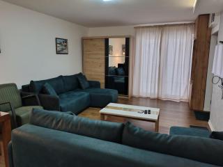 Apartmani Planinski Bor - 1