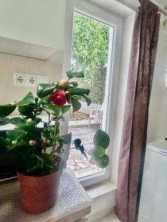 Studio Čagalj Trogir - 6