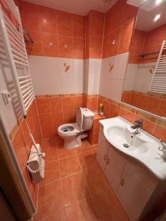 Aparmán Na Divoké Orlici - 2