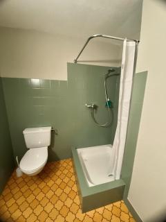 Studio Apartment Göschenen - 7