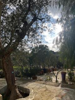 Catherine's home - 4