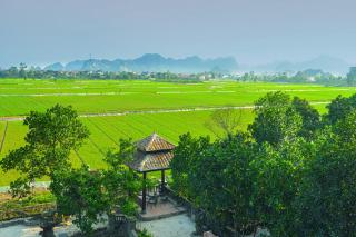 Y van cac art home - 4