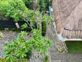 Guest suite VENUS, Boracay, cosy ocean view home - 5