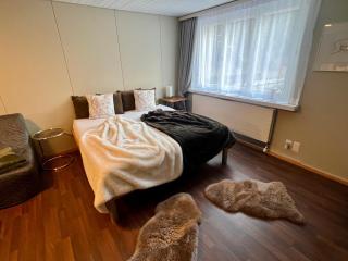 Studio Apartment Göschenen - 3
