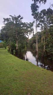 Bromelia View Lodge - 9