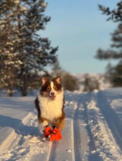 Jarfjord Nature Escape - 3