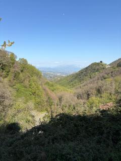 CASA Melissa - 2
