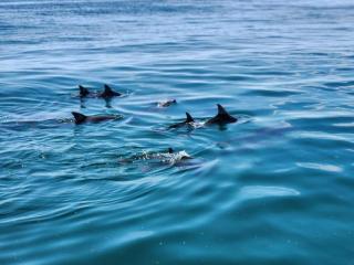 Kilulu Private Island - 8