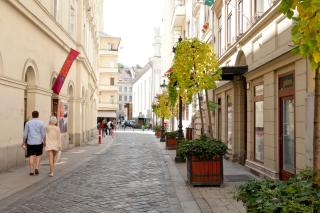 Liana-Luxury And Central Flat - Budapest - 3