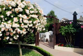 Chambres D'hôtes Roses De La Baie - - 2