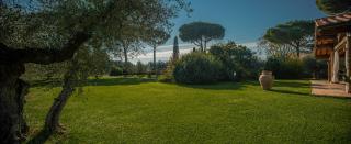 Villa Bolgheri Vermentino Castagneto Carducci - 6