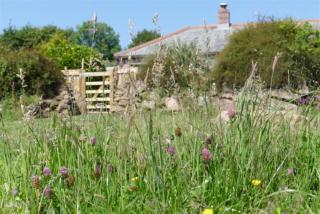 Tremerth Cottage Mousehole lovely country views - 0