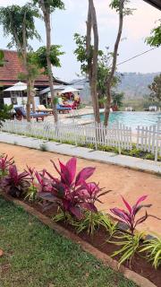 Greenhouse Retreat - 8