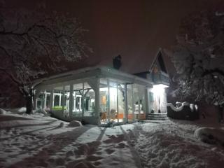 Honey hill apartment Fruska Gora - 1