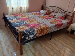 mango guest house - 6