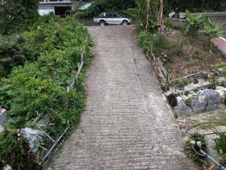 mango guest house - 4