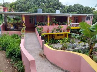 mango guest house - 1