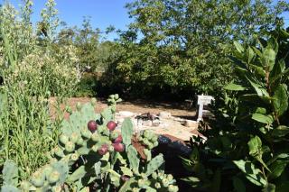 'U TRÚDDÊ DÚ FÊLCÊ - 7