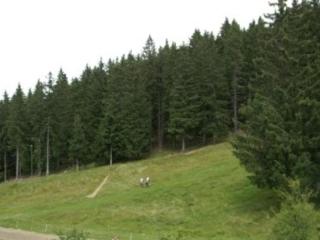 Studio cabine au pied des pistes avec vue, parfait pour 4 personnes - FR-1-557-51 - 1