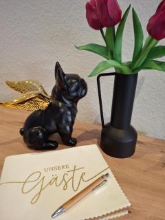 City-Appartement Pirna - 5