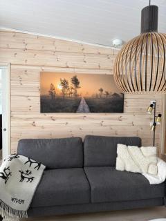 Modern VillaJoenhelmi with jacuzzi and sauna - 4